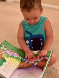 https://whimsicalworldbooks.com/wp-content/gallery/booksthe-little-dragon/The_Little_Dragon_Fan.jpg?t=1579827125