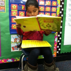 https://whimsicalworldbooks.com/wp-content/gallery/bookthe-little-rose/Reading_in_classroom_from_Gladys_Jan0913.JPG?t=1453076689