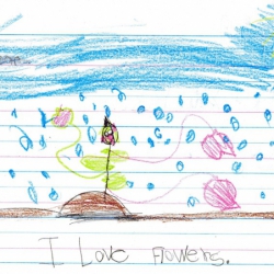 Fan Mail to Sheri Fink for The Little Rose